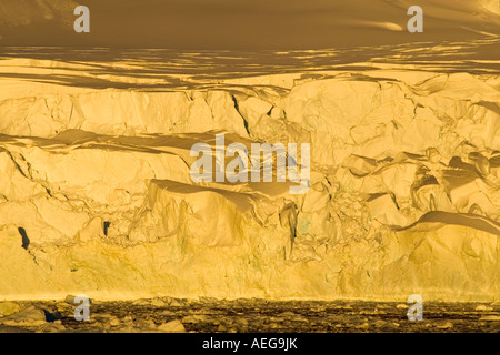 Glacier lungo la western Penisola Antartica Antartide Oceano Meridionale Foto Stock