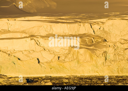 Glacier lungo la western Penisola Antartica Antartide Oceano Meridionale Foto Stock