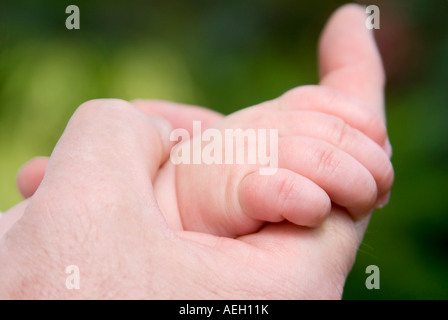 Chiudere orizzontale di un padre tenendo la piccola mano di colore rosa dei suoi sei mesi di età bimba Foto Stock