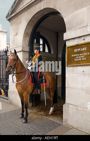 Vista verticale di una femmina montato cavalleria per uso domestico in servizio presso la sfilata delle Guardie a Cavallo su Whitehall. Foto Stock