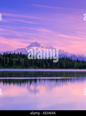 Mt McKinley riflesso nel laghetto vicino a Talkeetna Alaska Foto Stock