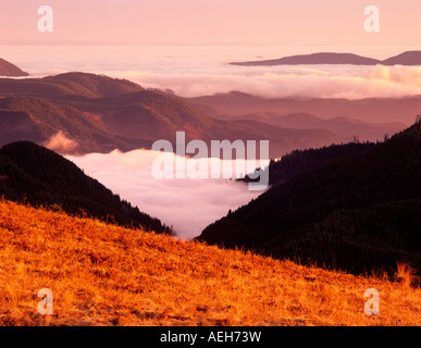 Vista al tramonto con nebbia nelle valli di Siuslaw National Forest come visto da Maria s Picco Oregon Foto Stock