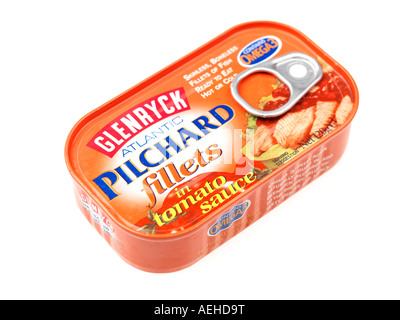 Conserve di sardine filetti Foto Stock