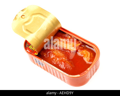 Conserve di sardine filetti Foto Stock