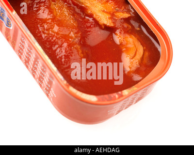 Conserve di sardine filetti Foto Stock