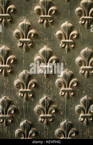 Fleur de Lis Pattern su porta Foto Stock