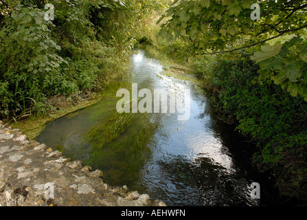 Il fiume il Tamigi che scorre attraverso il villaggio di Kempsford Gloucestershire Foto Stock