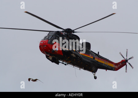 Seagull e il belga Air Force Sea King elicottero nel XXV Anniversario di colori a Weston Super Helidays 2007 Foto Stock