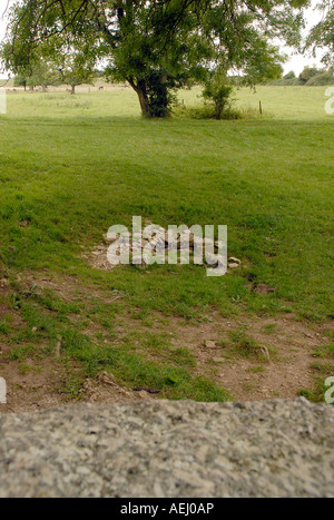 Cerchio di pietra la molla in un campo nei pressi di marcatura Kemble la sorgente del fiume Tamigi Foto Stock