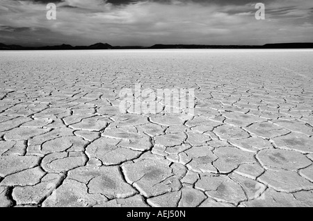 Deserto Alvord con modelli di fango Oregon Foto Stock