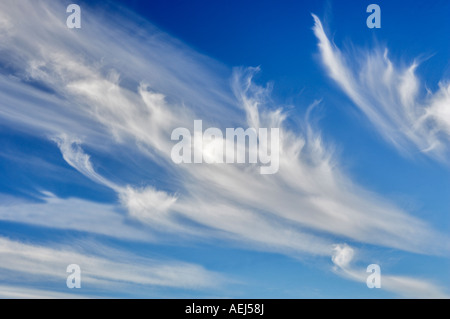 Wispy nuvole sopra l'inferno s Canyon Oregon Foto Stock