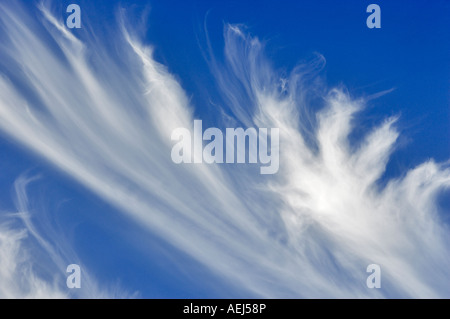 Wispy nuvole sopra l'inferno s Canyon Oregon Foto Stock