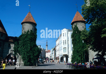 Splendida turrito ingresso attraverso le pareti storiche nella città vecchia di Tallinn in Estonia Foto Stock