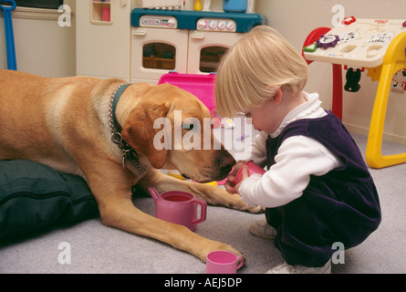 18 mesi 2 anno vecchia ragazza giocando tea party con il suo Golden Labrador Retriever cane bambino play riproduce il profilo del cane vista laterale MR © Myrleen Pearson Foto Stock