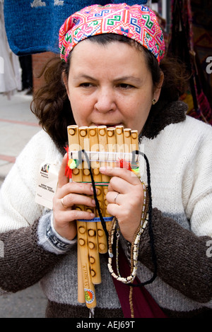 Ispanico boliviano fornitore di importazione età 25 holding flauto di Pan presso il suo stand di concessione. Cinco de Mayo Fiesta. 'St Paul' Minnesota USA Foto Stock