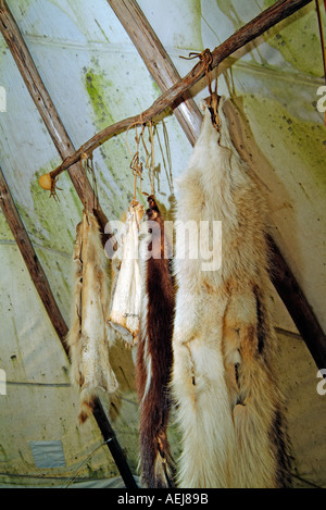 All'interno di un indiano teepee bianco Foto Stock