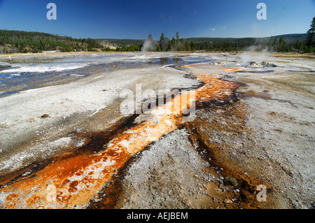 Strati con batteri termofili, Upper Geyser Basin, Yellowstone Nationalpark, Wyoming USA, Stati Uniti d'America Foto Stock