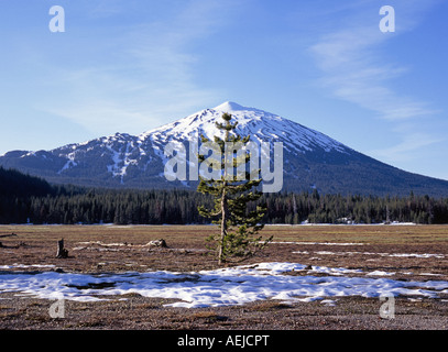 Una vista del monte Bachelor e Mount Bachelor Ski Area lungo la cascata laghi autostrada vicino la curvatura Oregon Foto Stock