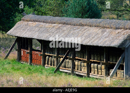 Apicoltura in un beehouse con alveari, - riserva naturale Lueneburg Heath, Bassa Sassonia, Germania, Europa Foto Stock