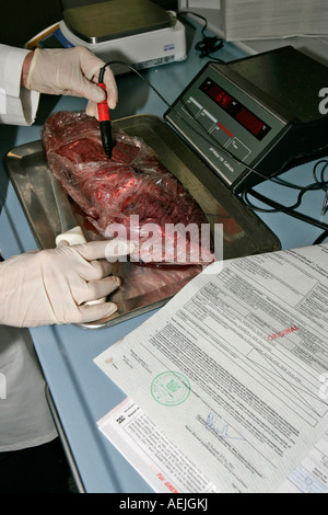 Esame delle carni importate per i germi Foto Stock
