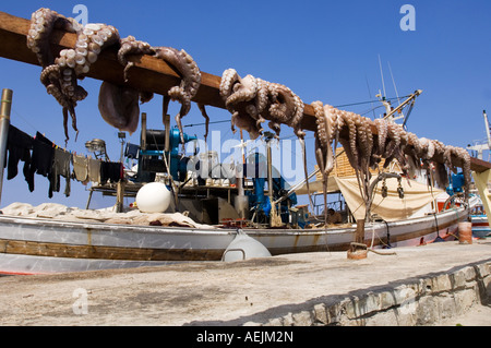 Seppie, essiccazione al sole nella parte anteriore di una barca da pesca, Naoussa, Cicladi Grecia. Foto Stock