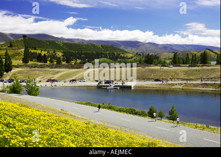 Fiori di campo Papavero californiano Eschscholzia califorica e corridori Lake Dunstan vicino a Cromwell Central Otago Isola del Sud Foto Stock