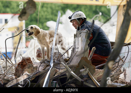 Cani da salvataggio a un addestramento realistico in rovina Foto Stock