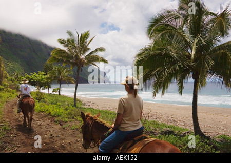 Giovane a cavallo lungo la spiaggia su Molokai Mule Ride tour a Kalaupapa National Historic Park Molokai Hawaii Foto Stock