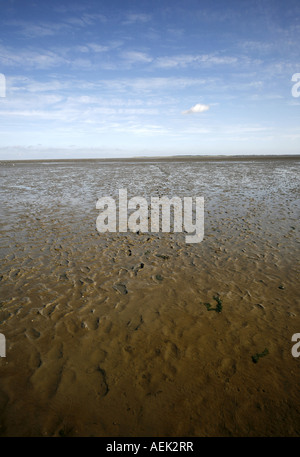 Impronte nel fango, Mare del Nord, Frisia Est, bassa Sassonia, Germania Foto Stock