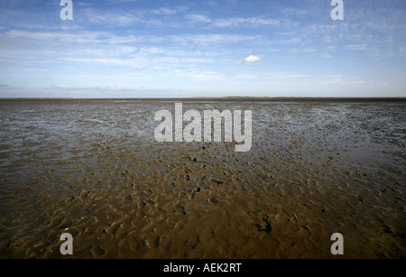 Impronte nel fango, Mare del Nord, Frisia Est, bassa Sassonia, Germania Foto Stock