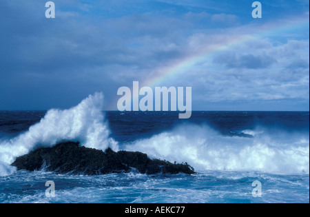 Spiaggia ghiaiosa Monterey in California Foto Stock