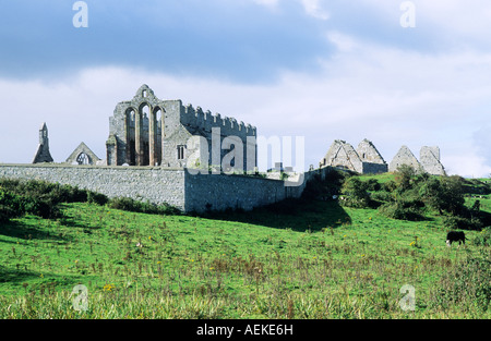 Le Rovine di San Brendan la Cattedrale di Ardfert Contea di Kerry Foto Stock