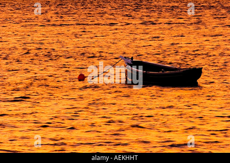 Una barca open bobbing sul golden lit acqua al tramonto, Montrose bacino, Angus, Scozia Agosto 2007 Foto Stock