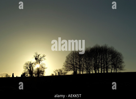 Tramonto in inverno in Knole Park, Sevenoaks, Kent Foto Stock