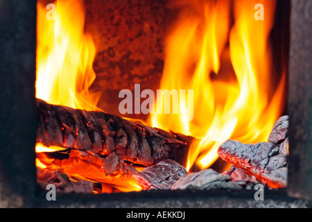 La combustione del legno in forno. Foto Stock