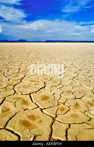 Deserto Alvord con modelli di fango Oregon Foto Stock