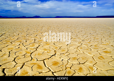 Deserto Alvord con modelli di fango Oregon Foto Stock