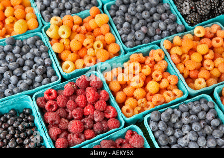 Lamponi e mirtilli a Lake Oswego Farmers Market Oregon Foto Stock