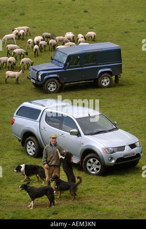 Un Allevatore ovino con la sua fattoria SHEEPDOGS VEICOLI E UN recentemente troncare gregge nel Gloucestershire Farm Regno Unito Foto Stock