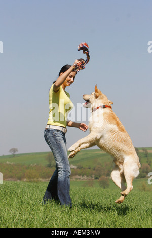 Giovane donna e Labrador Retriever - giocando sul prato Foto Stock