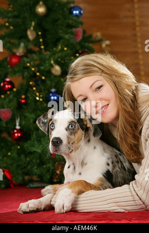 Il tempo di Natale: Catahoula Leopard cucciolo di cane e ragazza Foto Stock
