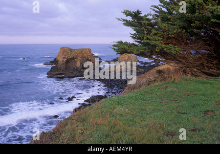 Pile di mare sulla costa a caraffa di gestire la riserva statale in Mendocino County, California, Stati Uniti d'America Foto Stock
