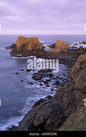 Pile di mare sulla costa a caraffa di gestire la riserva statale in Mendocino County, California, Stati Uniti d'America Foto Stock