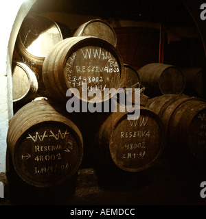 Il vino di Porto di barili in Ferreira lodge storehouse, Vila Nova de Gaia, Porto, Portogallo Foto Stock