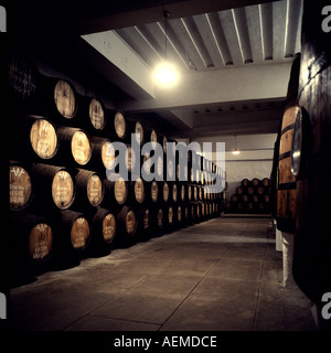 Il vino di Porto di barili in Ferreira lodge storehouse, Vila Nova de Gaia, Porto, Portogallo Foto Stock