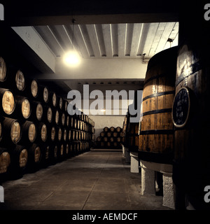 Il vino di Porto di barili e tini in Ferreira lodge storehouse, Vila Nova de Gaia, Porto, Portogallo Foto Stock