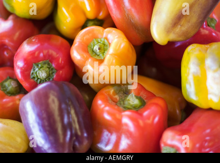 Multi-colore i peperoni in un mercato locale. Foto Stock