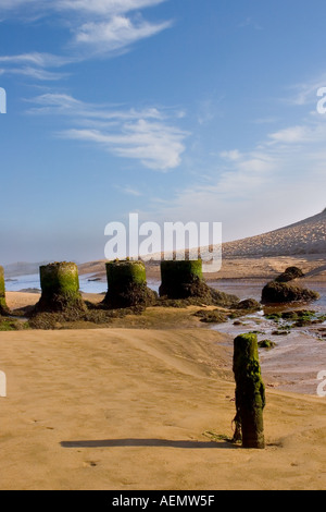 Estuario del fiume di spiaggia sabbiosa e difesa costiera scozzese del mare di diversi bastioni rotondi in cemento a Port Errol, Cruden Bay, Scozia, Aberdeenshire UK Foto Stock