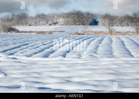 Paesaggio invernale in Wisconsin rurale Foto Stock