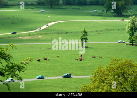 Vista aerea che guarda in basso parte del paesaggio verde del Longleat Safari Park e auto che guidano su strade in recinti per animali Warminster Wiltshire Inghilterra Regno Unito Foto Stock